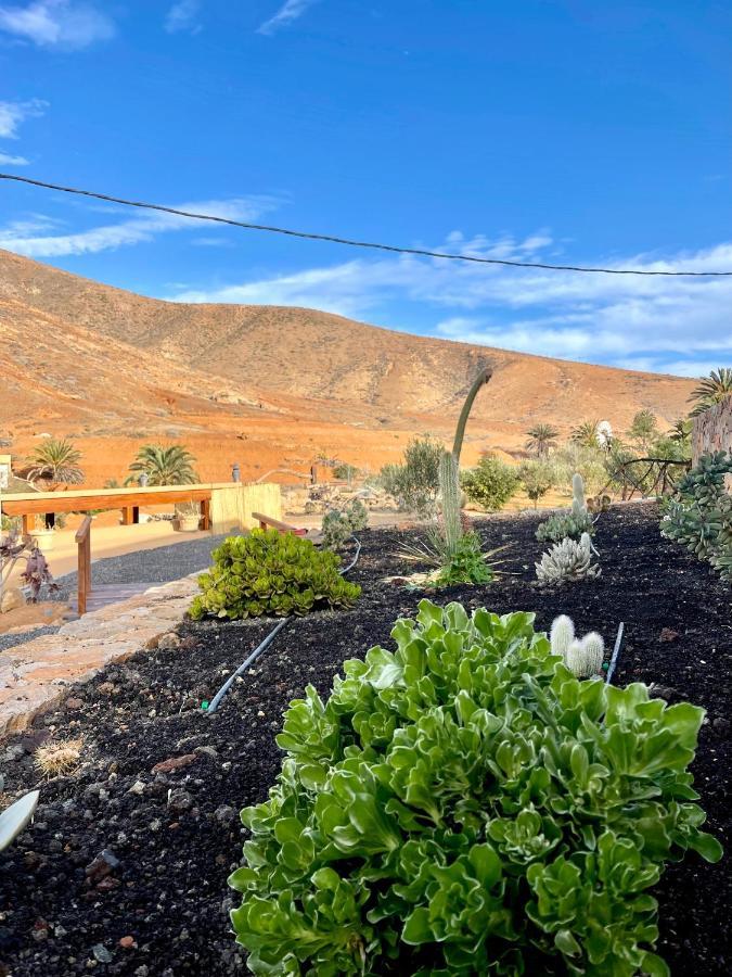 La Casita Del Mojino Lejlighed Betancuría Eksteriør billede