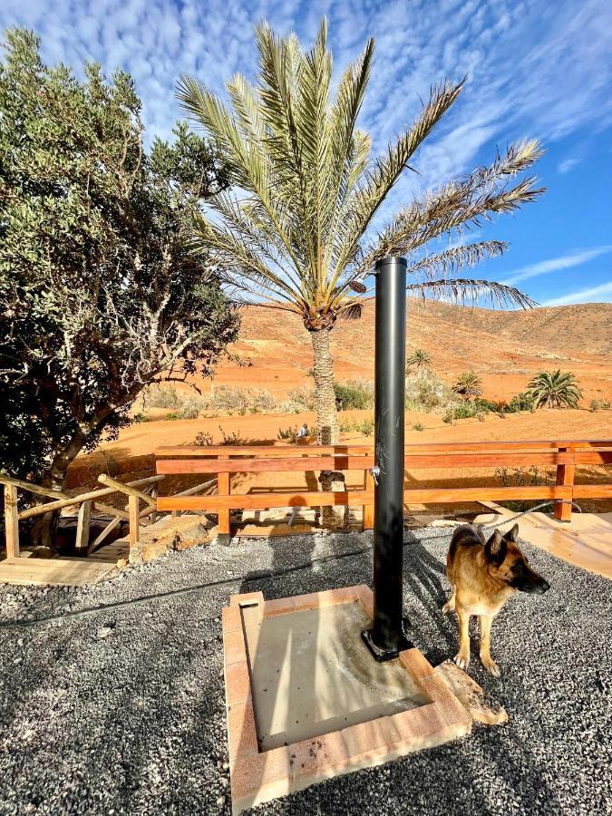 La Casita Del Mojino Lejlighed Betancuría Eksteriør billede